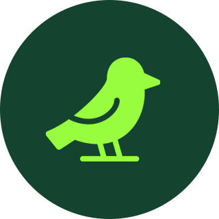 Bird Photography Tips